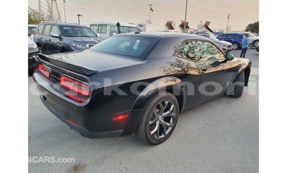 Buy Import Dodge Challenger Black Car in Import - Dubai in Great Comore Buy Import Dodge Challenger Black Car in Import - Dubai in Great Comore