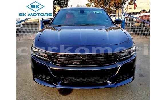 Acheter Import Voiture Dodge Charger Bleu à Import - Dubai, Grande Comore