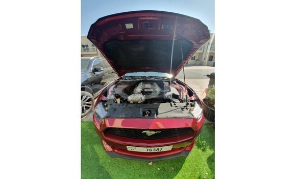 Acheter Import Voiture Ford Mustang Rouge à Import - Dubai, Grande Comore Acheter Import Voiture Ford Mustang Rouge à Import - Dubai, Grande Comore