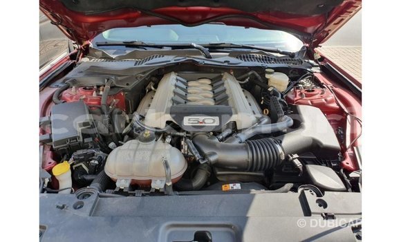 Acheter Import Voiture Ford Mustang Rouge à Import - Dubai, Grande Comore Acheter Import Voiture Ford Mustang Rouge à Import - Dubai, Grande Comore