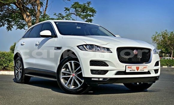 Acheter Import Voiture Jaguar F-Pace Blanc à Import - Dubai, Grande Comore
