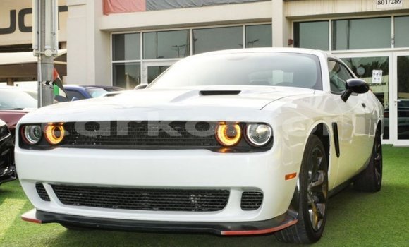 Acheter Import Voiture Dodge Challenger Blanc à Import - Dubai, Grande Comore