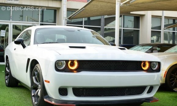 Acheter Import Voiture Dodge Challenger Blanc à Import - Dubai, Grande Comore Acheter Import Voiture Dodge Challenger Blanc à Import - Dubai, Grande Comore