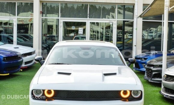 Acheter Import Voiture Dodge Challenger Blanc à Import - Dubai, Grande Comore Acheter Import Voiture Dodge Challenger Blanc à Import - Dubai, Grande Comore