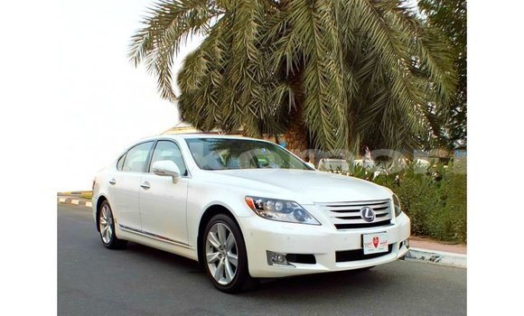 Acheter Import Voiture Lexus LS Blanc à Import - Dubai, Grande Comore