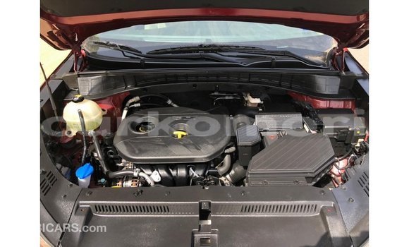 Acheter Import Voiture Hyundai Tucson Rouge à Import - Dubai, Grande Comore Acheter Import Voiture Hyundai Tucson Rouge à Import - Dubai, Grande Comore