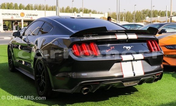 Acheter Import Voiture Ford Mustang Autre à Import - Dubai, Grande Comore Acheter Import Voiture Ford Mustang Autre à Import - Dubai, Grande Comore