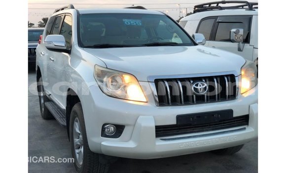 Buy Import Toyota Prado White Car in Import - Dubai in Great Comore Buy Import Toyota Prado White Car in Import - Dubai in Great Comore