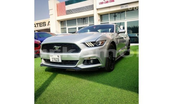 Acheter Import Voiture Ford Mustang Autre à Import - Dubai, Grande Comore Acheter Import Voiture Ford Mustang Autre à Import - Dubai, Grande Comore