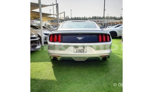 Acheter Import Voiture Ford Mustang Autre à Import - Dubai, Grande Comore Acheter Import Voiture Ford Mustang Autre à Import - Dubai, Grande Comore