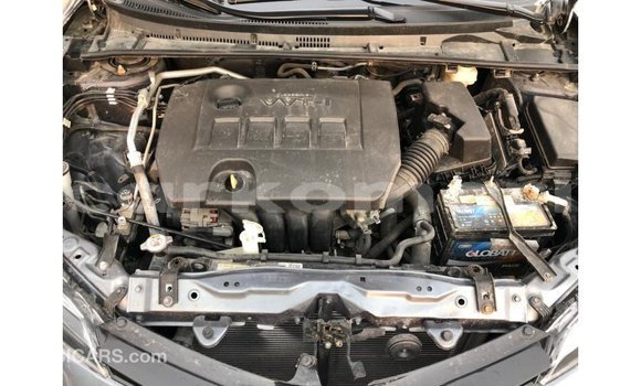 Acheter Import Voiture Toyota Corolla Autre à Import - Dubai, Grande Comore Acheter Import Voiture Toyota Corolla Autre à Import - Dubai, Grande Comore