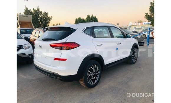 Acheter Import Voiture Hyundai Tucson Blanc à Import - Dubai, Grande Comore Acheter Import Voiture Hyundai Tucson Blanc à Import - Dubai, Grande Comore