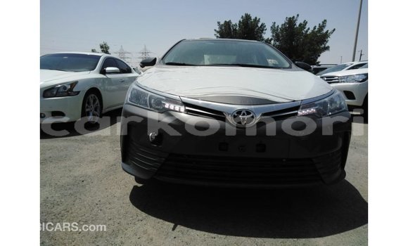 Buy Import Toyota Corolla Other Car in Import - Dubai in Great Comore Buy Import Toyota Corolla Other Car in Import - Dubai in Great Comore