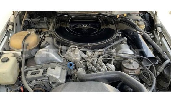 Buy Import Mercedes-Benz 190 White Car in Import - Dubai in Great Comore Buy Import Mercedes-Benz 190 White Car in Import - Dubai in Great Comore