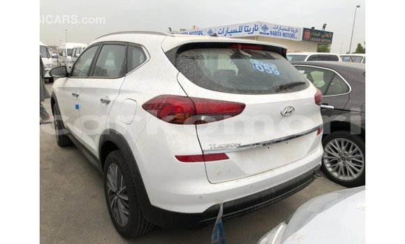 Acheter Import Voiture Hyundai Tucson Blanc à Import - Dubai, Grande Comore Acheter Import Voiture Hyundai Tucson Blanc à Import - Dubai, Grande Comore