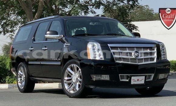 Acheter Import Voiture Cadillac Escalade Noir à Import - Dubai, Grande Comore