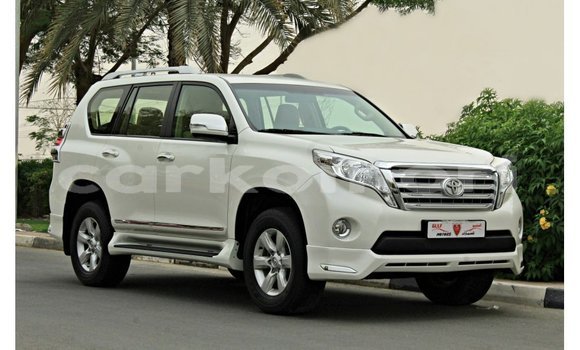 Buy Import Toyota Prado White Car in Import - Dubai in Great Comore