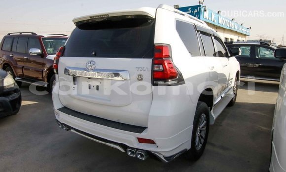 Acheter Import Voiture Toyota Prado Blanc à Import - Dubai, Grande Comore Acheter Import Voiture Toyota Prado Blanc à Import - Dubai, Grande Comore