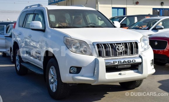 Acheter Import Voiture Toyota Prado Blanc à Import - Dubai, Grande Comore Acheter Import Voiture Toyota Prado Blanc à Import - Dubai, Grande Comore