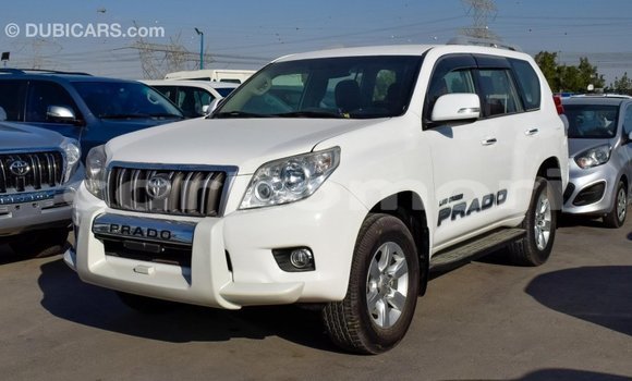 Acheter Import Voiture Toyota Prado Blanc à Import - Dubai, Grande Comore Acheter Import Voiture Toyota Prado Blanc à Import - Dubai, Grande Comore