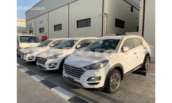 Acheter Import Voiture Hyundai Tucson Blanc à Import - Dubai, Grande Comore Acheter Import Voiture Hyundai Tucson Blanc à Import - Dubai, Grande Comore