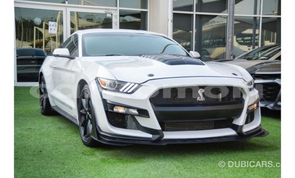 Buy Import Ford Mustang White Car in Import - Dubai in Great Comore Buy Import Ford Mustang White Car in Import - Dubai in Great Comore