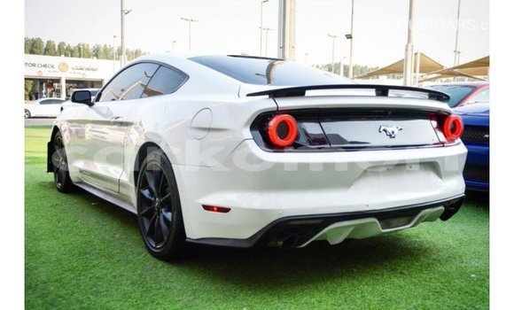 Buy Import Ford Mustang White Car in Import - Dubai in Great Comore Buy Import Ford Mustang White Car in Import - Dubai in Great Comore