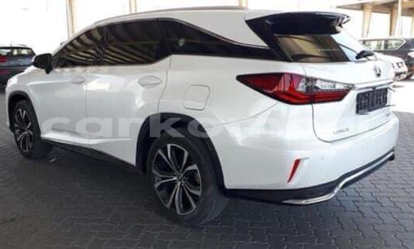 Buy Used Lexus RX 350 White Car in Domoni in Anjouan Buy Used Lexus RX 350 White Car in Domoni in Anjouan
