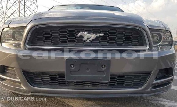 Acheter Import Voiture Ford Mustang Autre à Import - Dubai, Grande Comore Acheter Import Voiture Ford Mustang Autre à Import - Dubai, Grande Comore