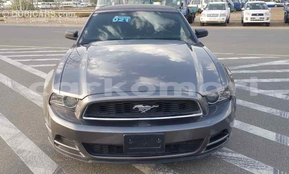 Acheter Import Voiture Ford Mustang Autre à Import - Dubai, Grande Comore Acheter Import Voiture Ford Mustang Autre à Import - Dubai, Grande Comore