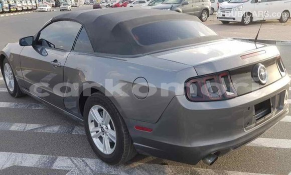 Acheter Import Voiture Ford Mustang Autre à Import - Dubai, Grande Comore Acheter Import Voiture Ford Mustang Autre à Import - Dubai, Grande Comore