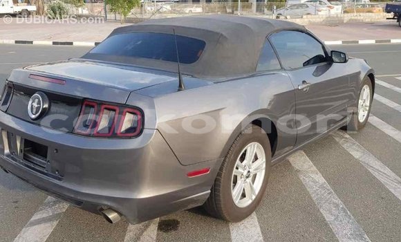 Acheter Import Voiture Ford Mustang Autre à Import - Dubai, Grande Comore Acheter Import Voiture Ford Mustang Autre à Import - Dubai, Grande Comore