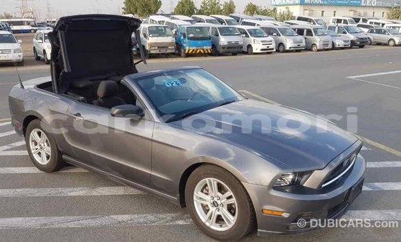 Acheter Import Voiture Ford Mustang Autre à Import - Dubai, Grande Comore Acheter Import Voiture Ford Mustang Autre à Import - Dubai, Grande Comore