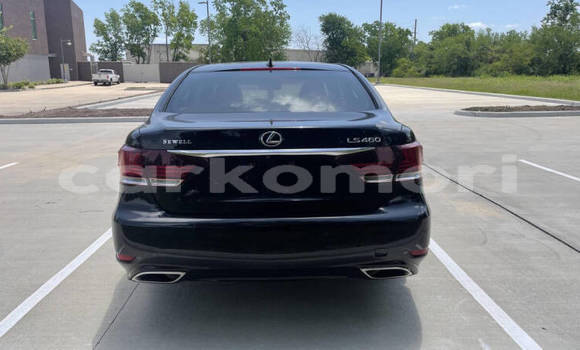 Acheter Occasion Voiture Lexus LS Bleu à Moroni, Grande Comore Acheter Occasion Voiture Lexus LS Bleu à Moroni, Grande Comore