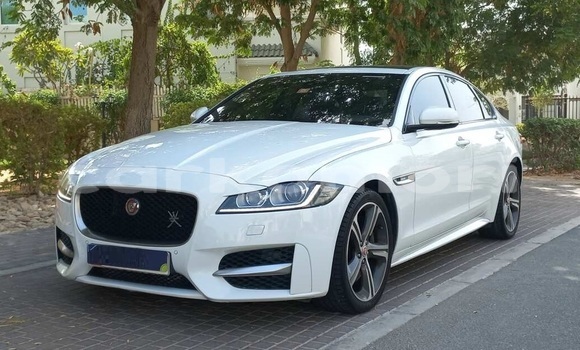 Acheter Occasion Voiture Jaguar XF Blanc à Moroni, Grande Comore