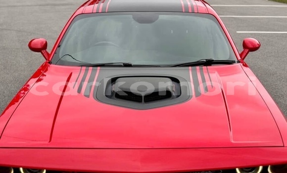 Acheter Occasion Voiture Dodge Challenger Rouge à Moroni, Grande Comore Acheter Occasion Voiture Dodge Challenger Rouge à Moroni, Grande Comore