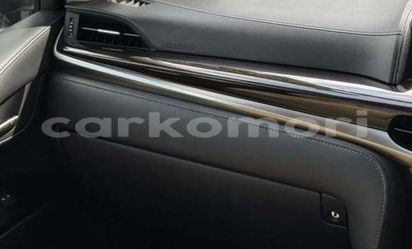 Acheter Occasion Voiture Lexus LX 570 Noir à Mutsamudu, Anjouan Acheter Occasion Voiture Lexus LX 570 Noir à Mutsamudu, Anjouan