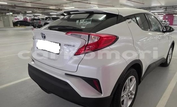 Buy Used Toyota C-HR White Car in Moutsamoudou in Ndzuwani Buy Used Toyota C-HR White Car in Moutsamoudou in Ndzuwani