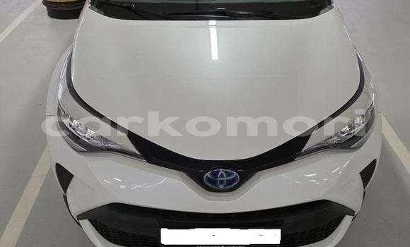 Buy Used Toyota C-HR White Car in Moutsamoudou in Ndzuwani Buy Used Toyota C-HR White Car in Moutsamoudou in Ndzuwani