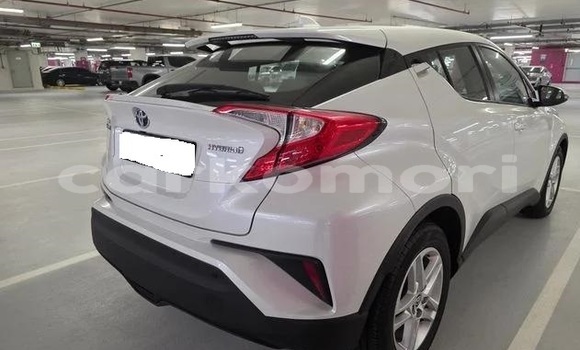Buy Used Toyota C-HR White Car in Moutsamoudou in Ndzuwani Buy Used Toyota C-HR White Car in Moutsamoudou in Ndzuwani