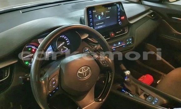 Buy Used Toyota C-HR White Car in Moutsamoudou in Ndzuwani Buy Used Toyota C-HR White Car in Moutsamoudou in Ndzuwani