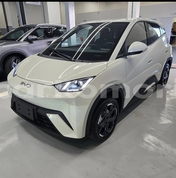 Big with watermark byd seagull grande comore moroni 4007