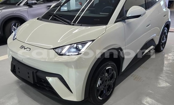 Acheter Occasion Voiture BYD Seagull Blanc à Moroni, Grande Comore