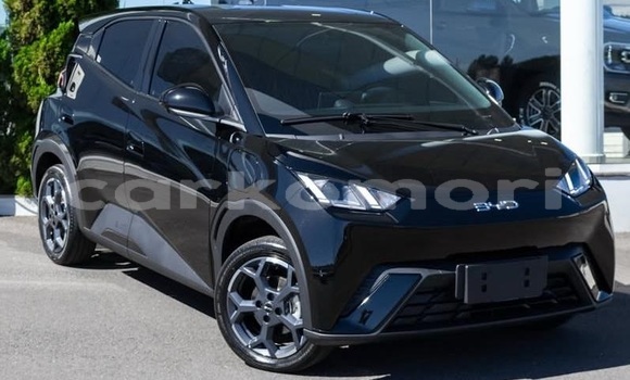 Acheter Occasion Voiture BYD Seagull Blanc à Moroni, Grande Comore Acheter Occasion Voiture BYD Seagull Blanc à Moroni, Grande Comore