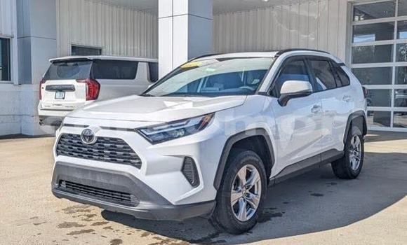 Acheter Occasion Voiture Toyota RAV4 Blanc à Mitsamiouli, Njazidja