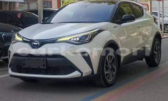 Acheter Occasion Voiture Toyota C-HR Blanc à Domoni, Anjouan