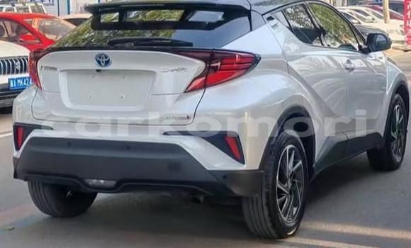 Buy Used Toyota C-HR White Car in Domoni in Anjouan Buy Used Toyota C-HR White Car in Domoni in Anjouan