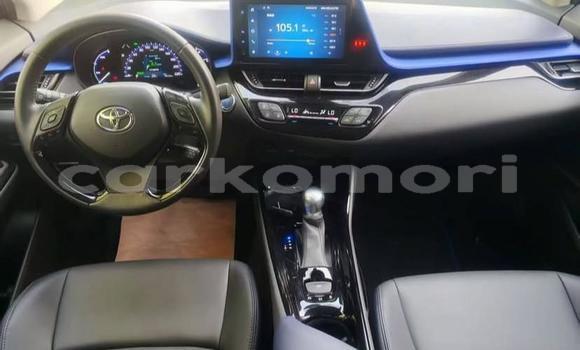 Buy Used Toyota C-HR White Car in Domoni in Anjouan Buy Used Toyota C-HR White Car in Domoni in Anjouan