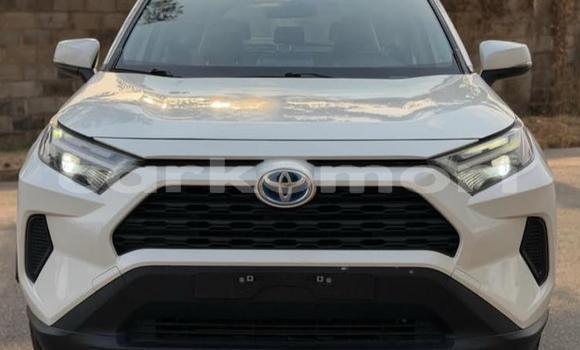 Acheter Occasion Voiture Toyota RAV4 Blanc à Domoni, Anjouan