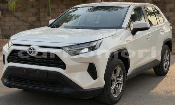 Acheter Occasion Voiture Toyota RAV4 Blanc à Domoni, Anjouan Acheter Occasion Voiture Toyota RAV4 Blanc à Domoni, Anjouan